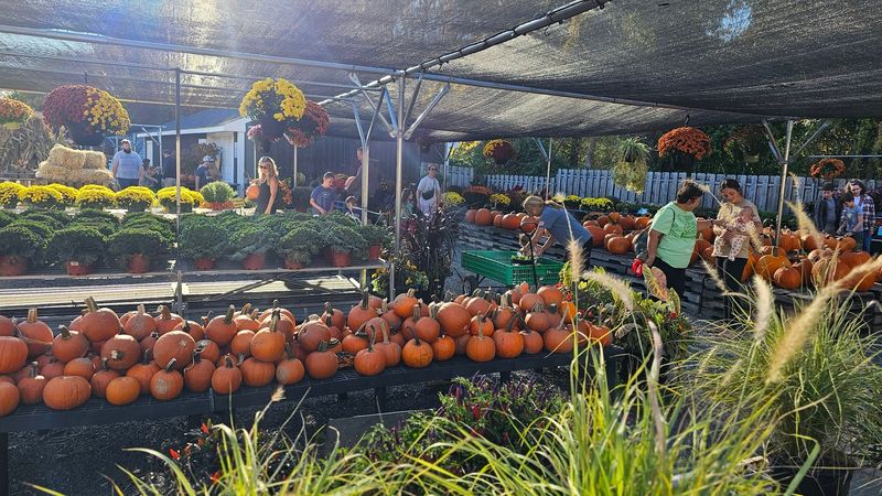 A Welcoming Community Gathering Space