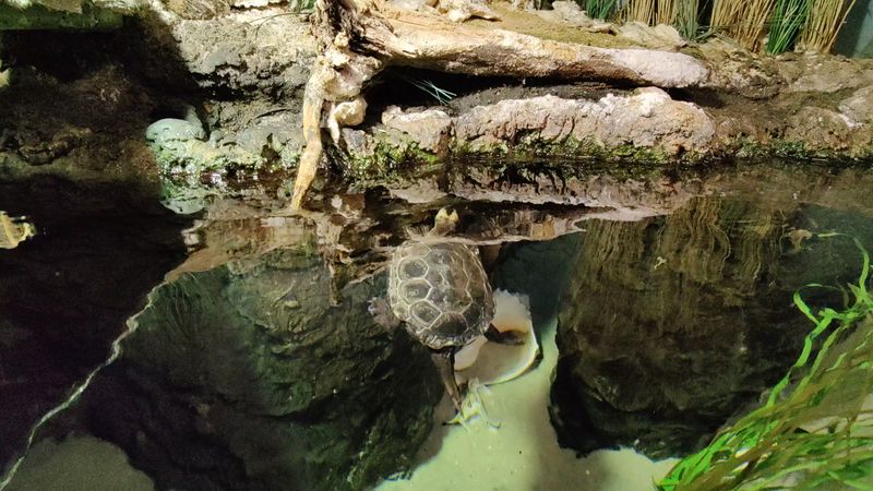 Knowledgeable Staff Enhance Every Interaction