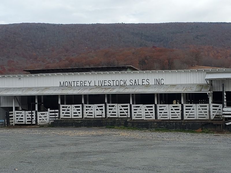 Architecture That Tells Stories Without Words