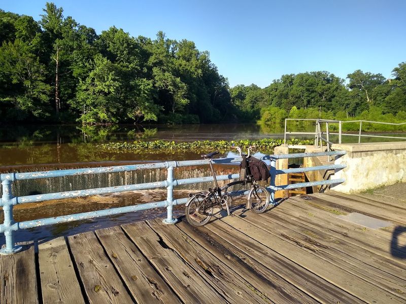 Brunch Spots with Garden Seating
