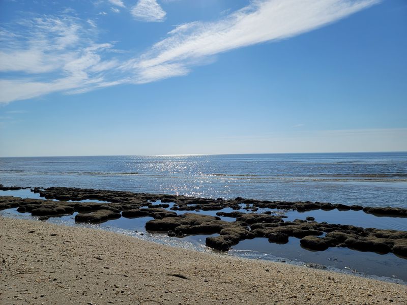 Year-Round Access to Natural Beauty