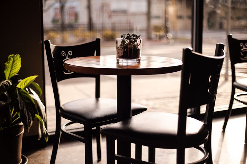 A Cozy Atmosphere Perfect for Work or Conversation