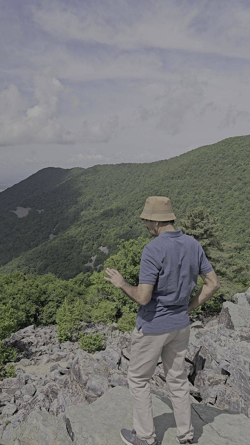 Parking and Access Details