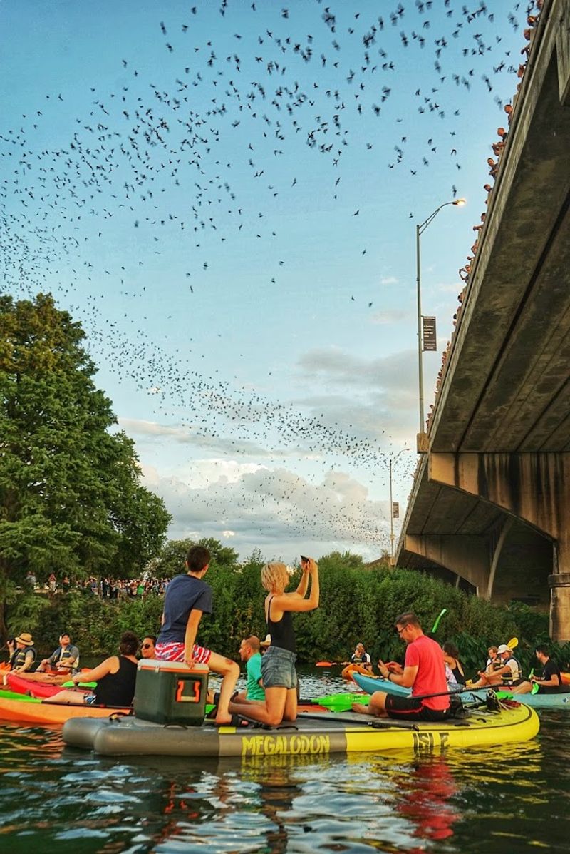 Practical Tips for Visiting the Observation Center