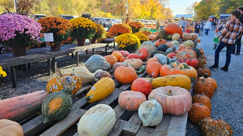 Fresh Baked Breads That Disappear Fast