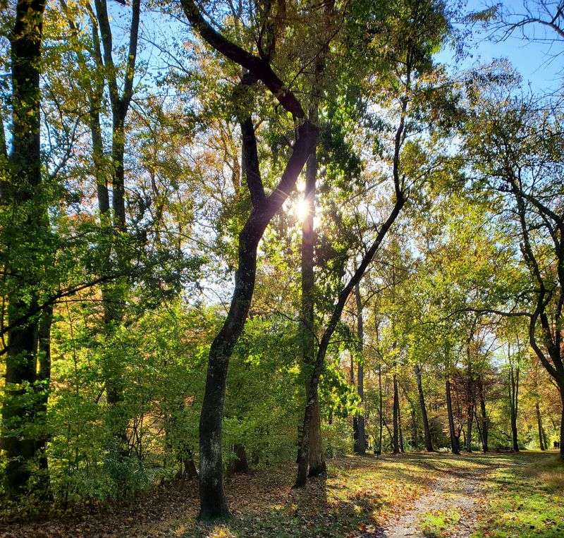 Why Stargazers Remember Meadville
