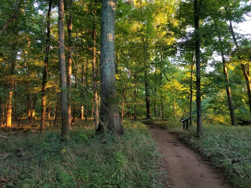 Convenient Location in Northern Virginia