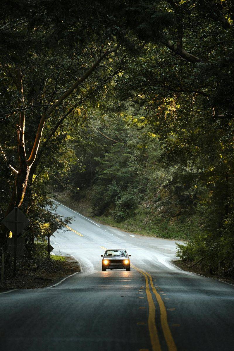 Winding Roads Test Your Navigation Skills