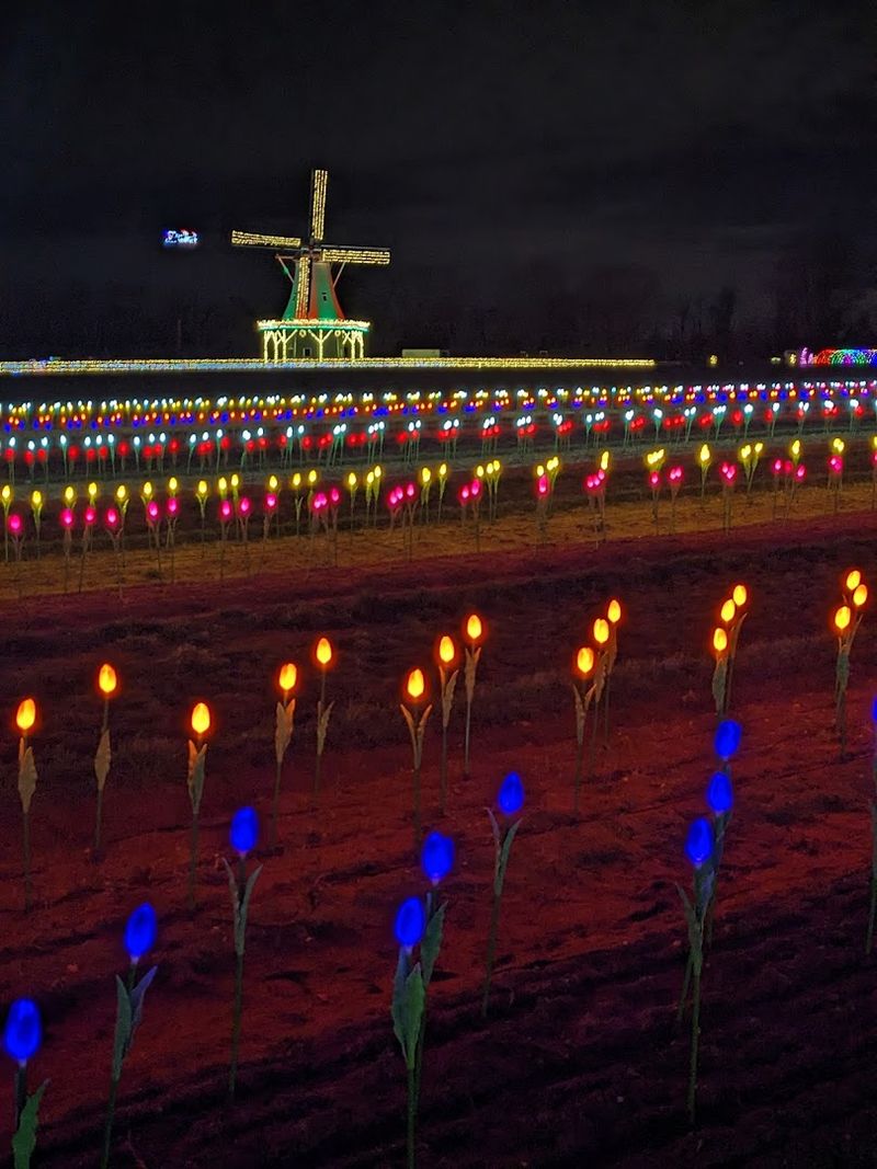 Winter Wonderland Light Show Spectacular