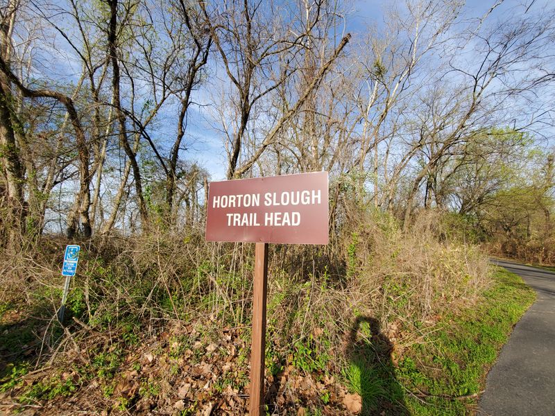 Conservation Success You Can Witness