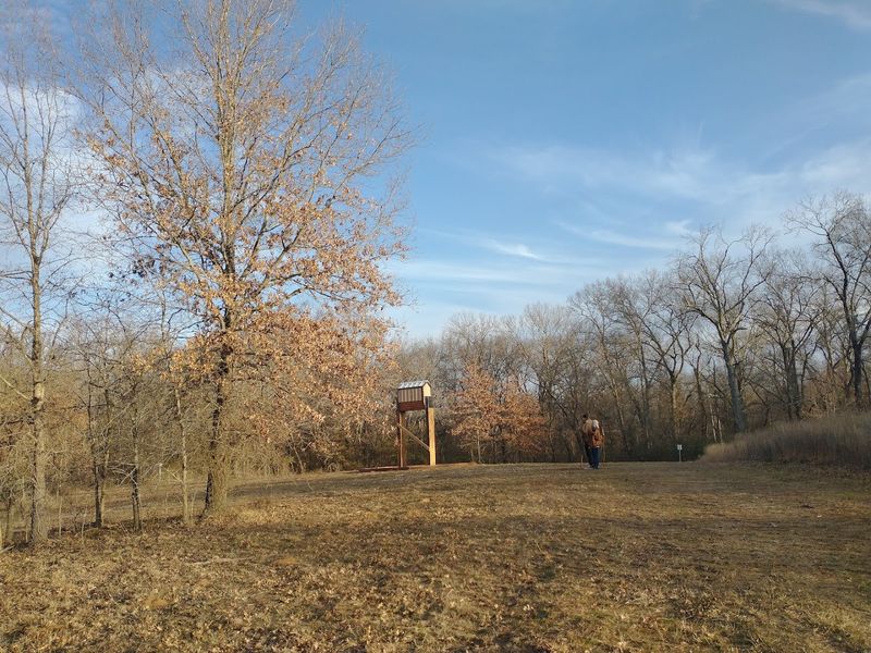 Accessibility That Actually Means Something