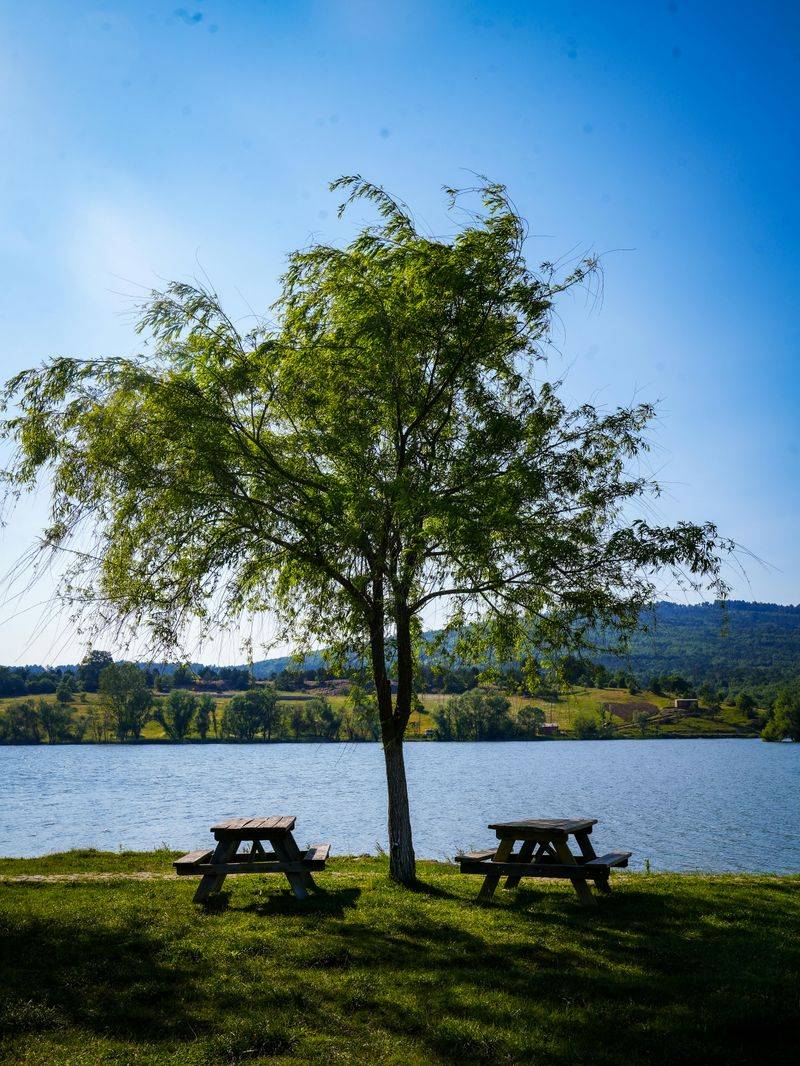 Infrastructure Spending Follows Visitor Patterns