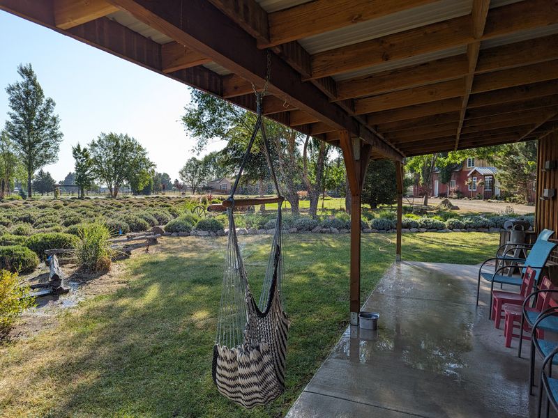 The Perfect Picnic Spot Under the Oregon Sun