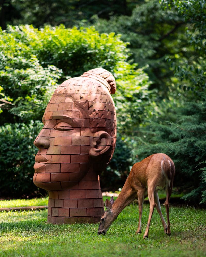 Seasonal Events And Programs