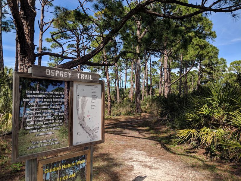 Wildlife Sightings Add To The Atmosphere
