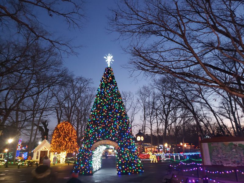 Seasonal Events That Transform the Park Throughout the Year