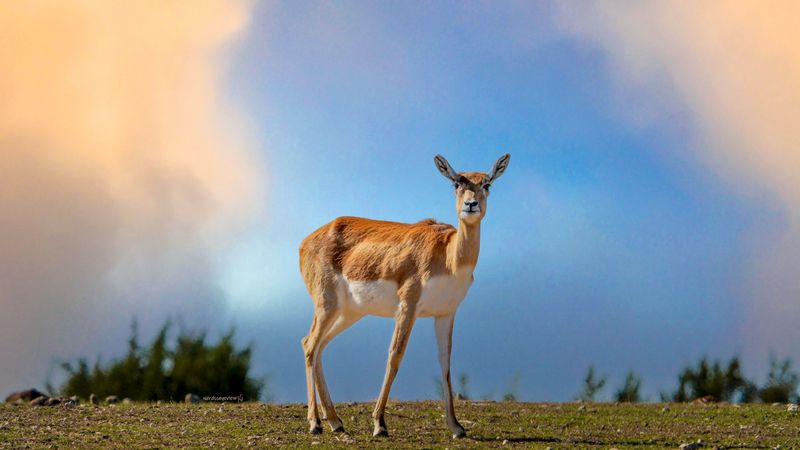 A Family-Friendly Adventure That Feels Personal