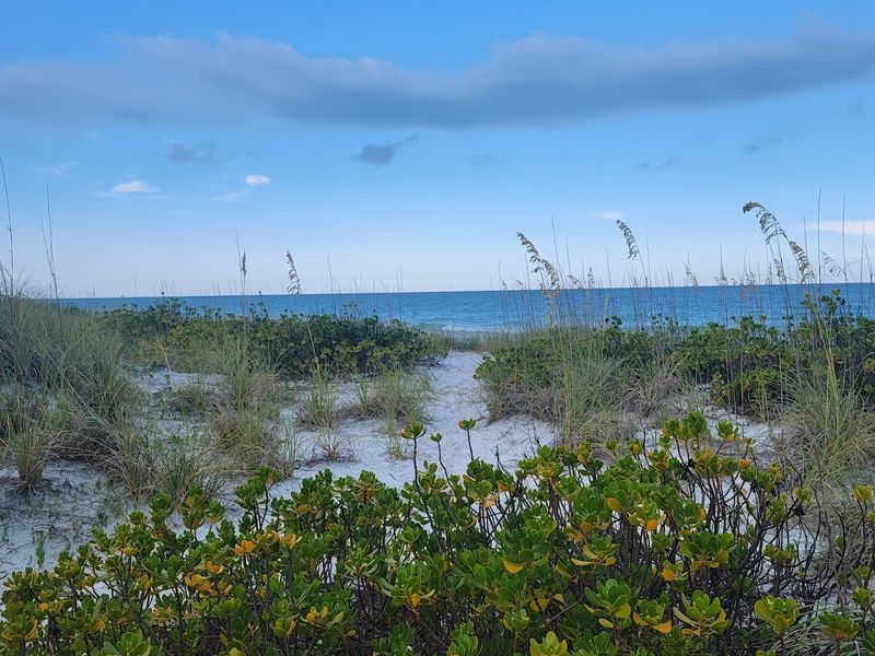 The Picnic Setup That Feels Like A Private Beach Day