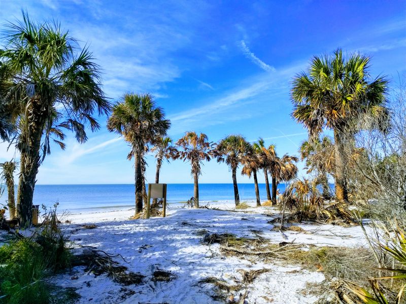 Picnic Tables Sit Close To The Shoreline