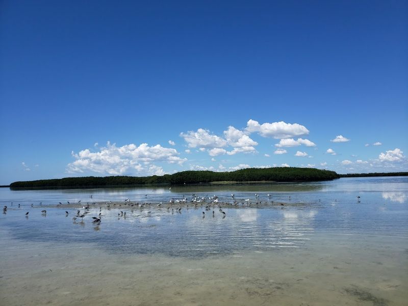 Birdwatching Views That Turn Into Accidental Wildlife Photography