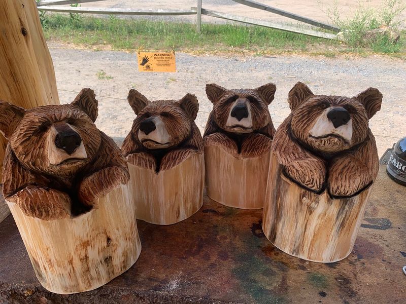 Appalachian Woodcarvers