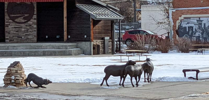 Buffalo’s Small-Town Square With Big Sky Surroundings