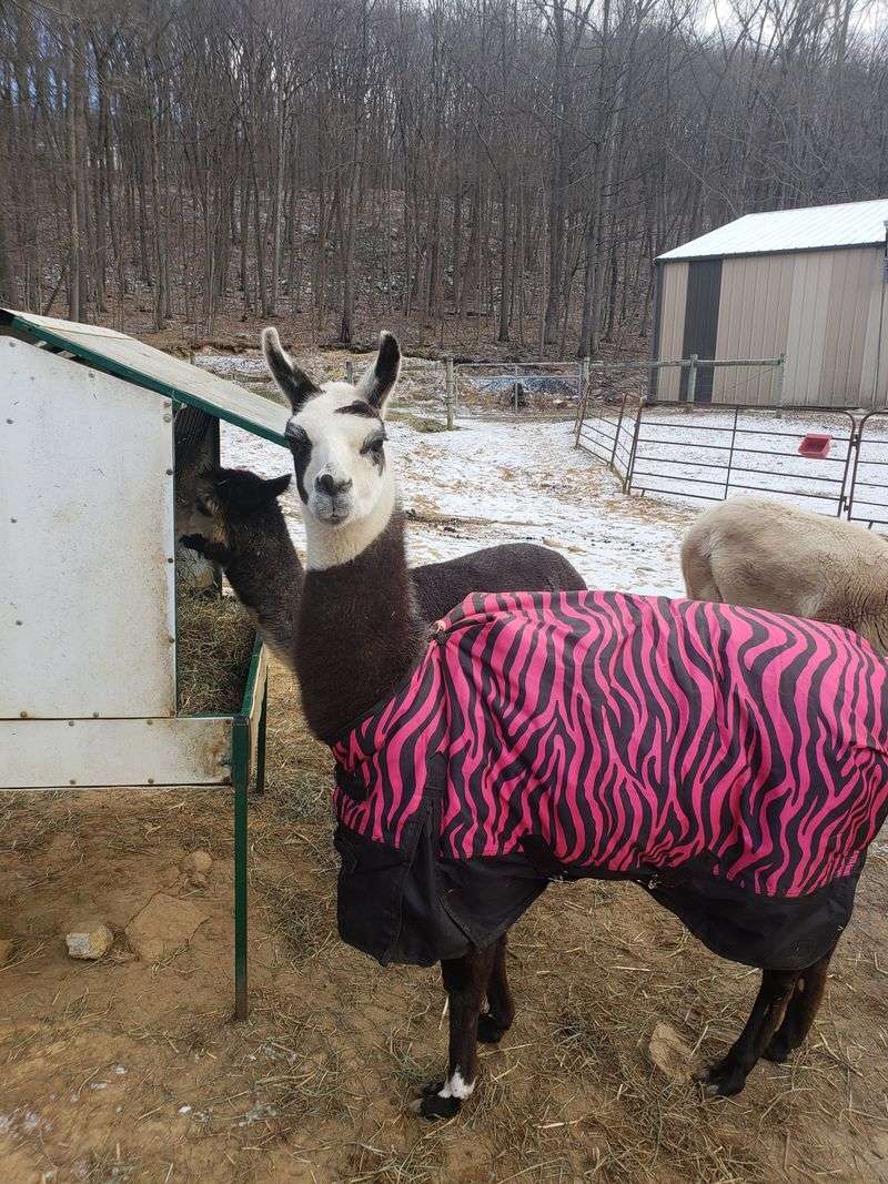 Capture Instagram-Worthy Moments Everywhere