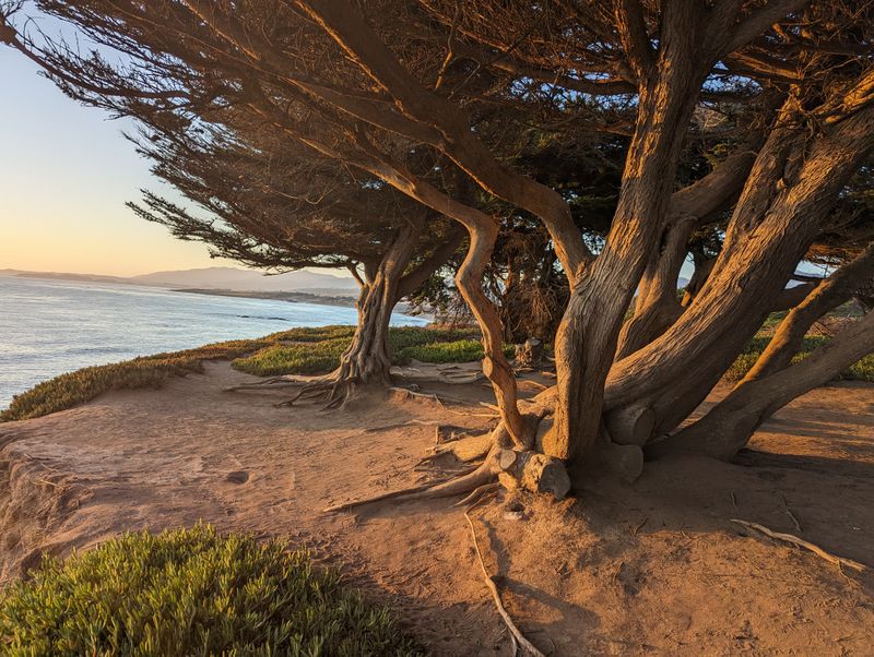 Fog And Light Shape The Mood Daily