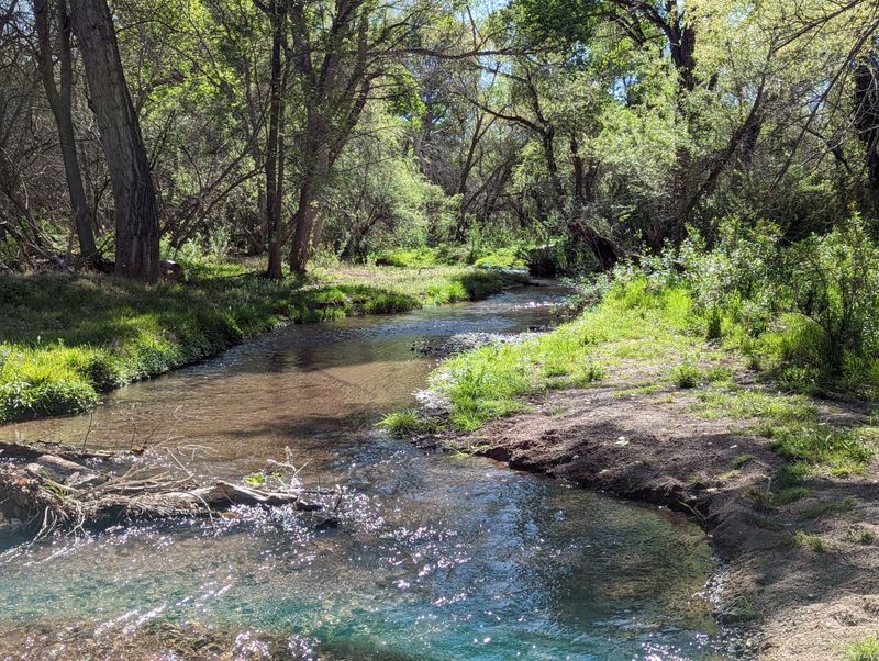 Trails Offer Easy Out And Back Walks