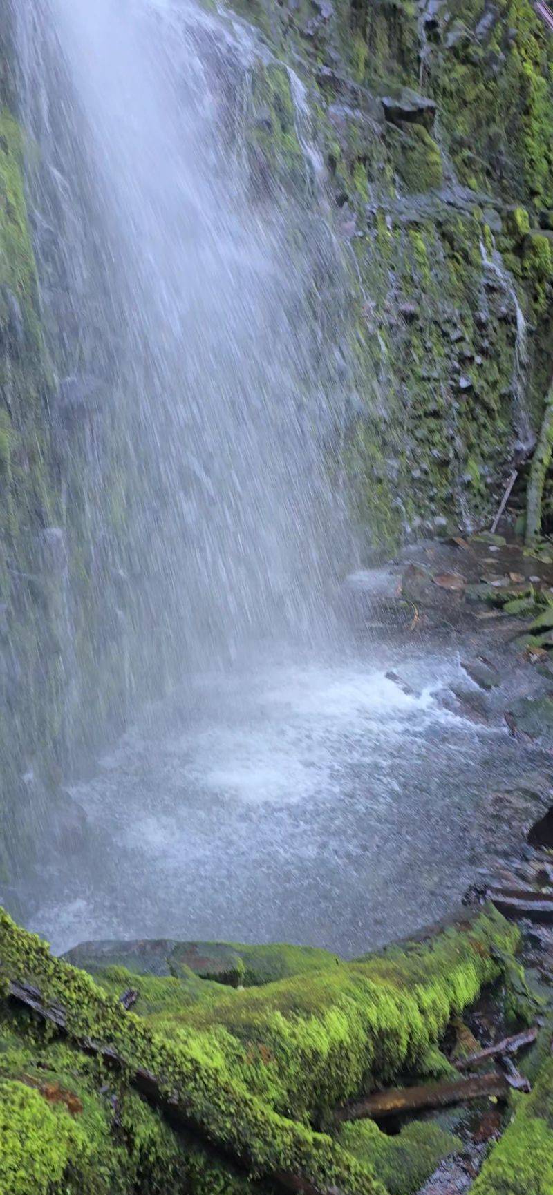 Get Up Close and Personal With the Falls
