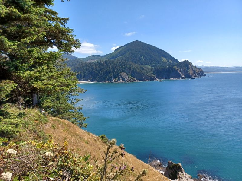 Wildlife Watching Opportunities