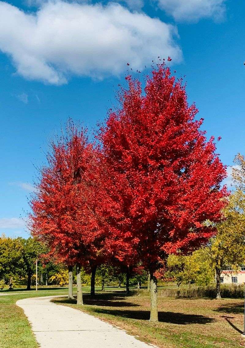 Popular State Parks See Peak-Season Pressure Popular State Parks See Peak-Season Pressure