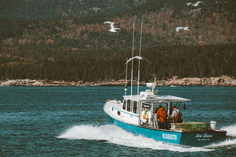 Fishing Jobs Became Less Predictable