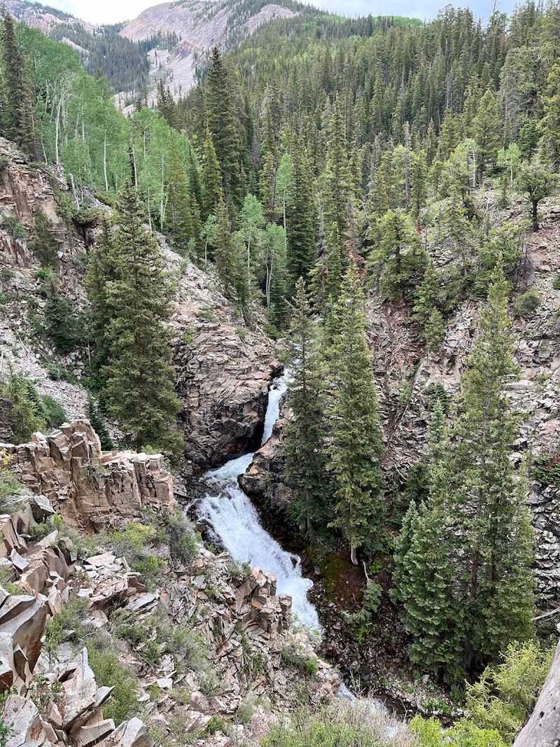 Creekside Paths Turn Into The Easiest Reset Walk In Town