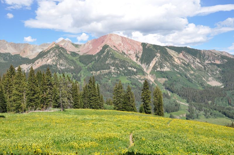 Wildflower Etiquette Matters More Here Than Almost Anywhere