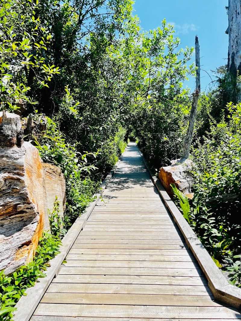 Convenient Highway Access