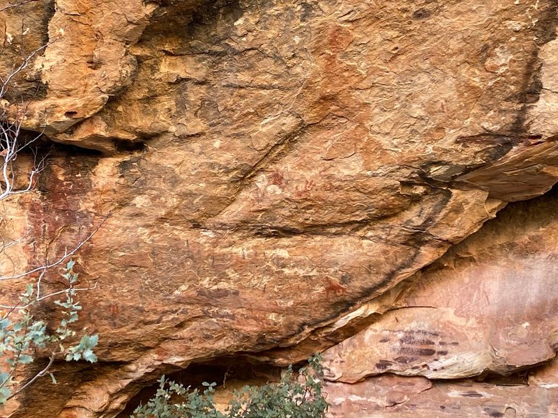 Petroglyph Wall At Red Rock Canyon