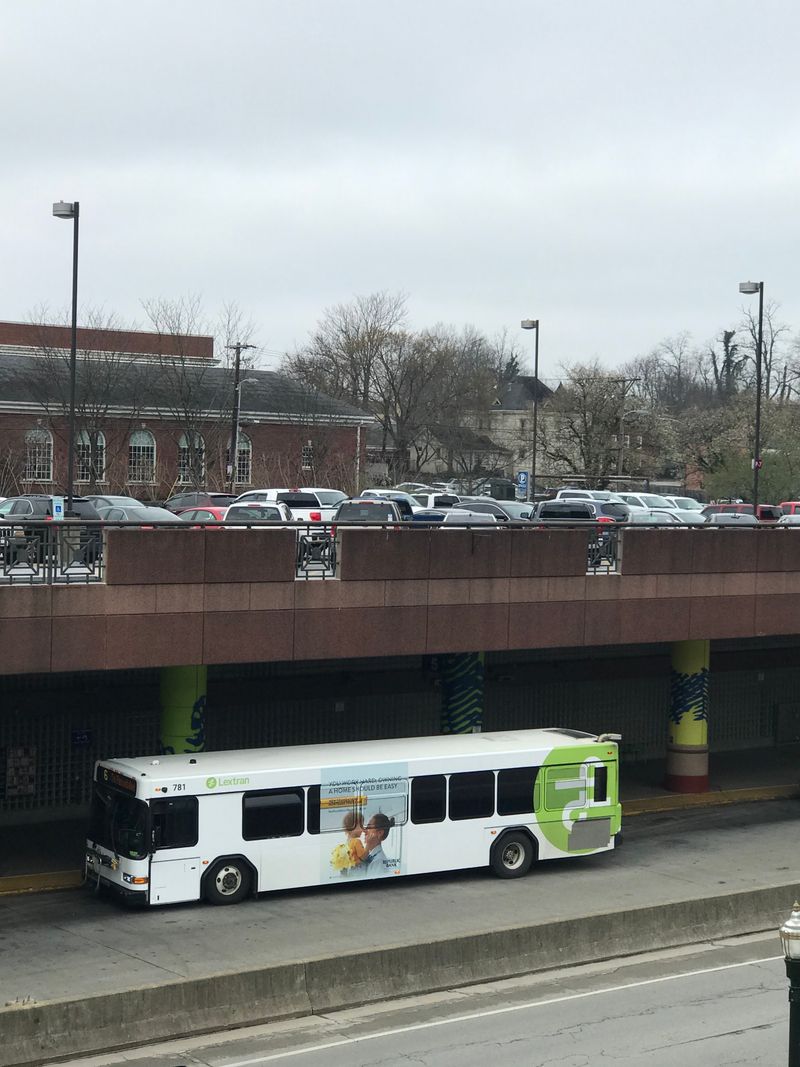 Public Transportation Is Very Limited (Downside)