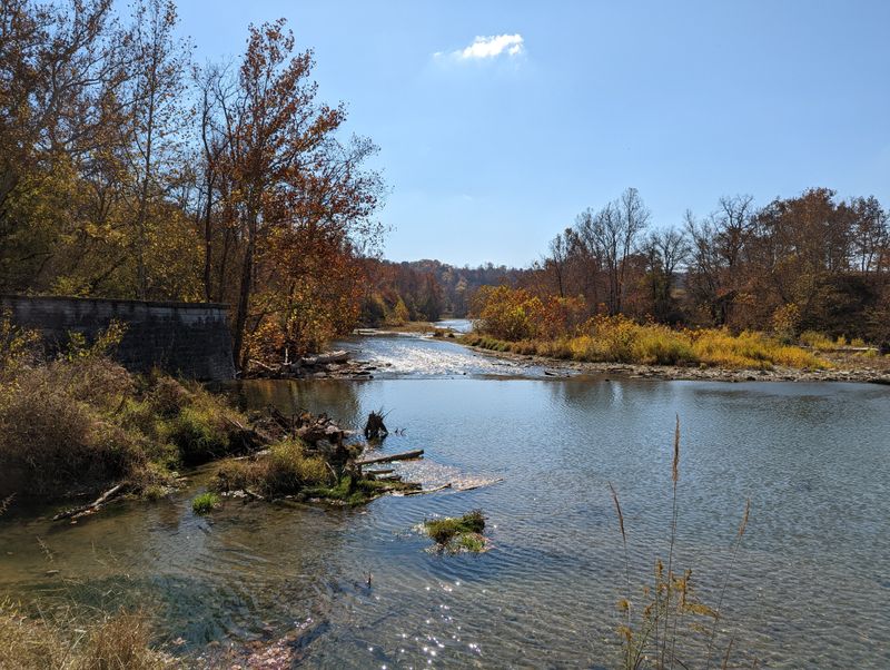 Nature Trails Let You Breathe Air That Hasn't Been Through An AC Unit