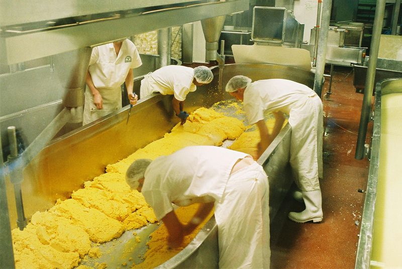 Cheese Culture That Is Actually Serious Business Cheese Culture That Is Actually Serious Business