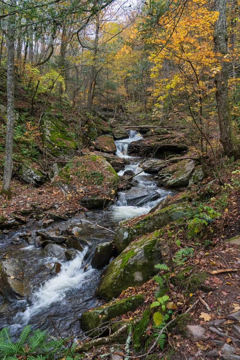 A State Park System That Rivals National Parks