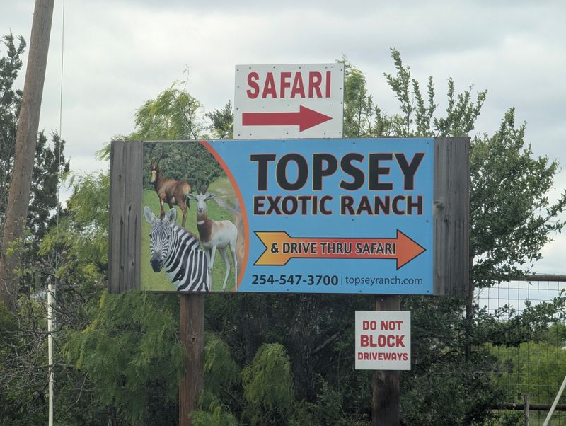 Shaded Picnic Spots for a Midday Break