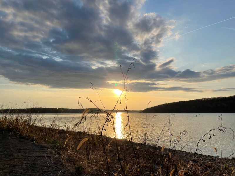 Lakeside Views That Change With Every Season