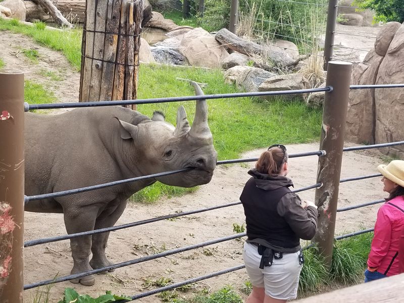 Crowd Tips That Make The Day Easier