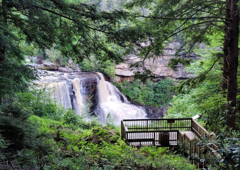 Gateway To Blackwater Falls State Park