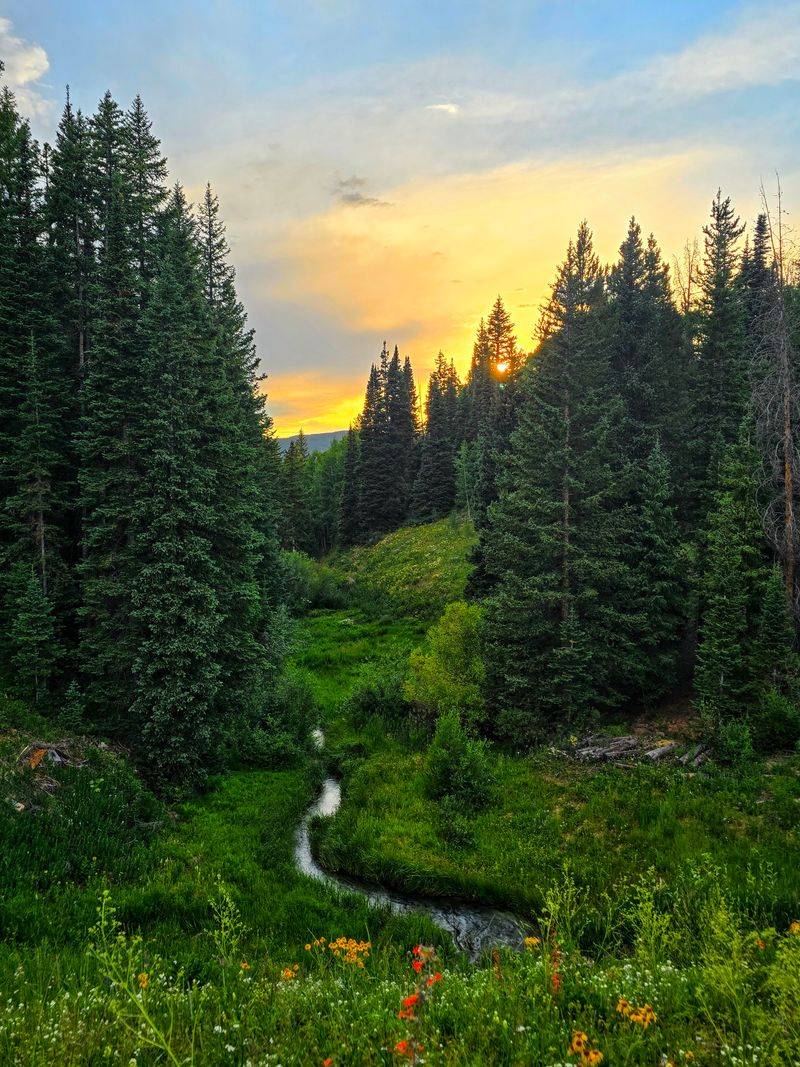 Unmarked Trails That Aren’t Meant For Crowds