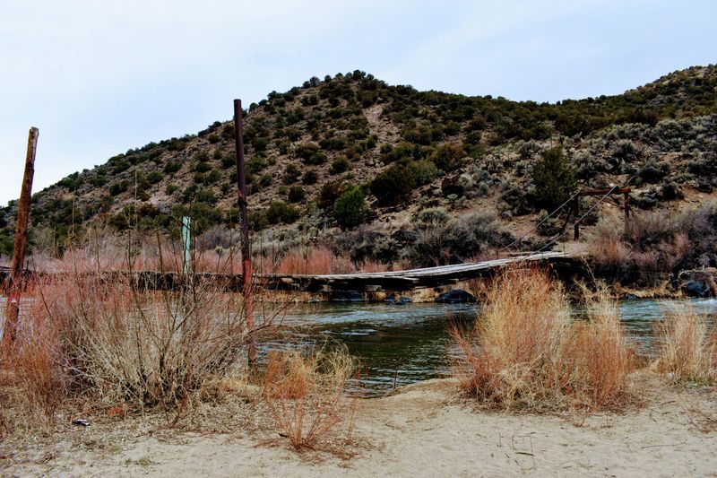 Ignoring Seasonal Closures And Limits