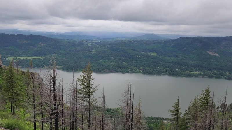 Local Quality of Life Declines Sharply