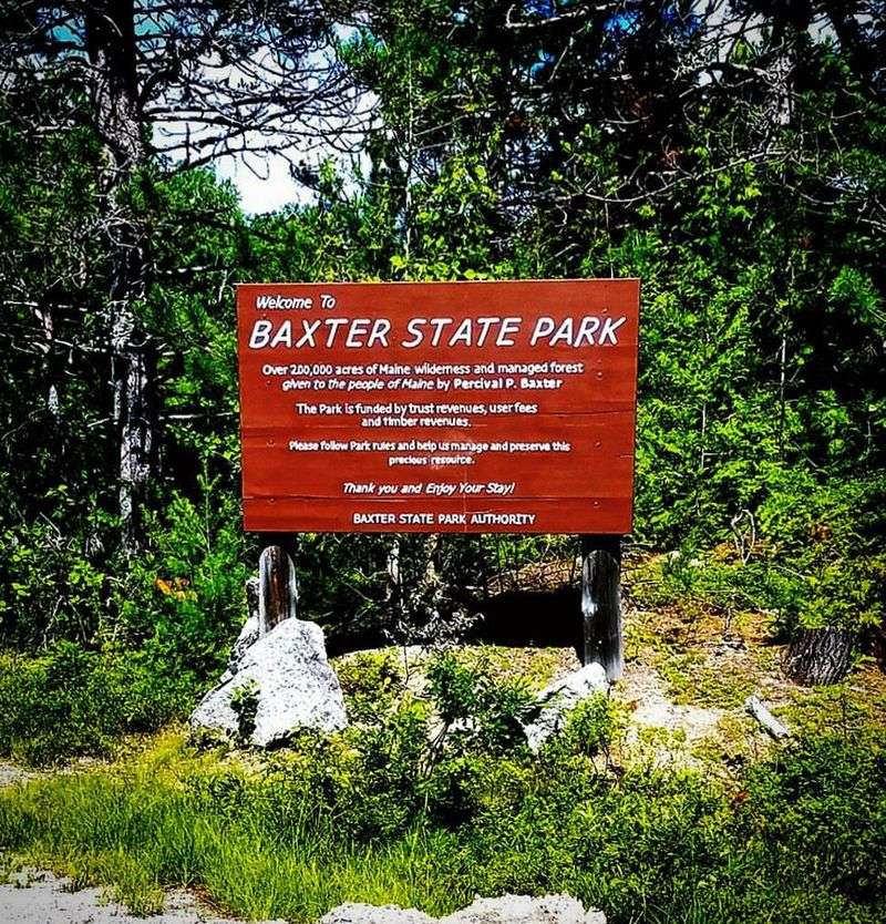 A Soundscape That Changes With Seasons