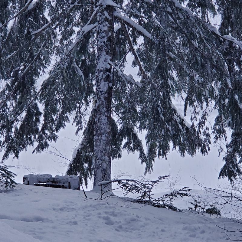 Snowshoeing Opens New Perspectives